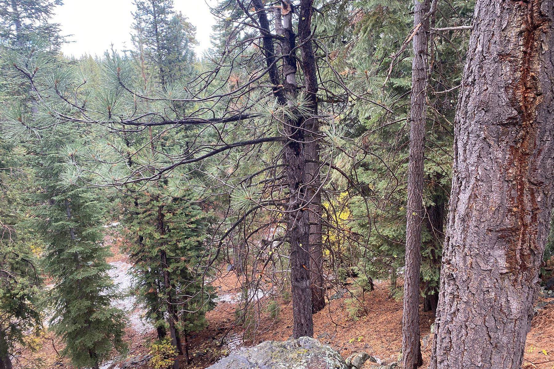 4. Land for Active at Tahoe Donner Lot Ready To Build 13079 Hillside Drive Truckee, California 96161 United States