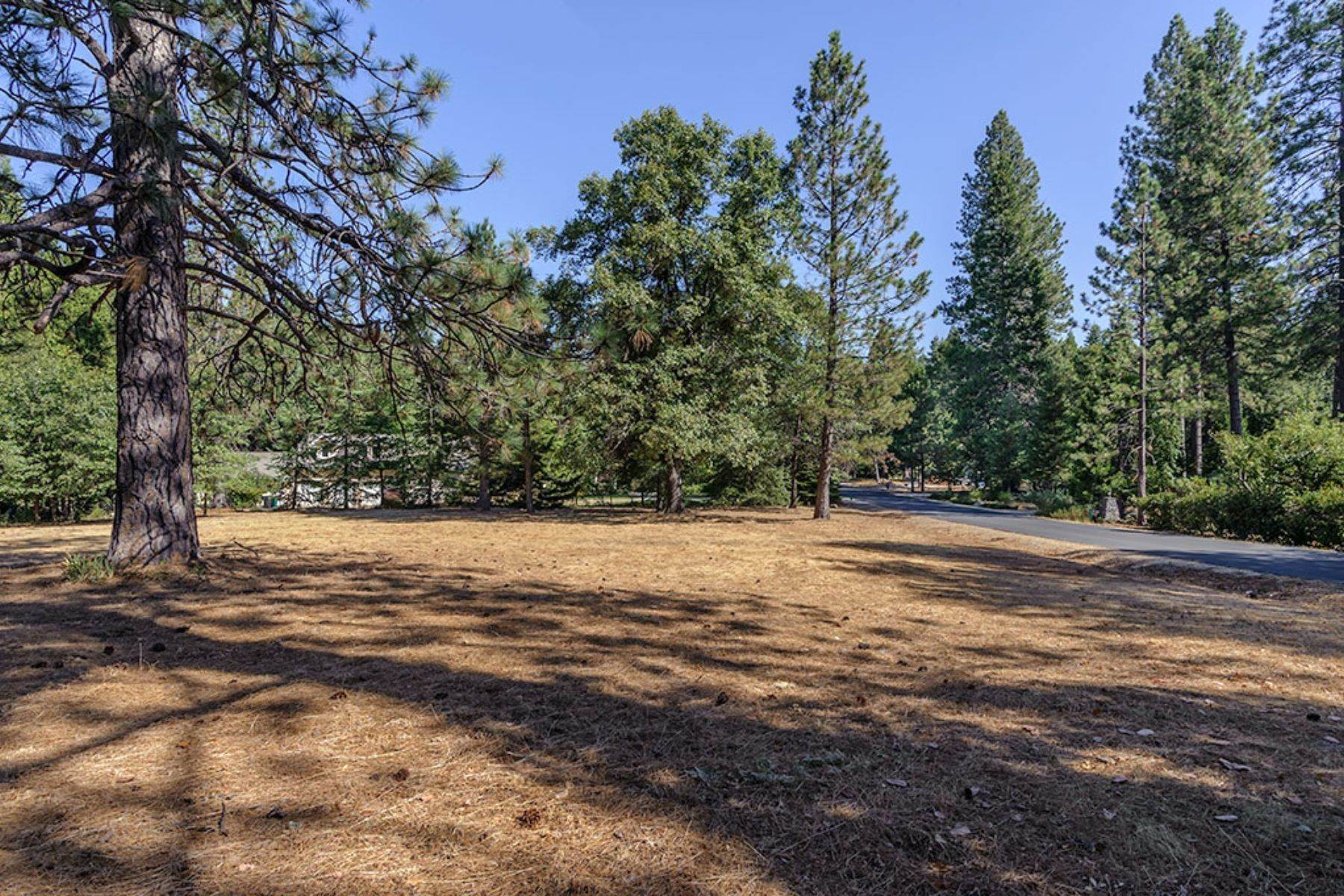 6. Land for Active at Ready to Build Your Dream Home 13233 Woodstock Drive Nevada City, California 95959 United States