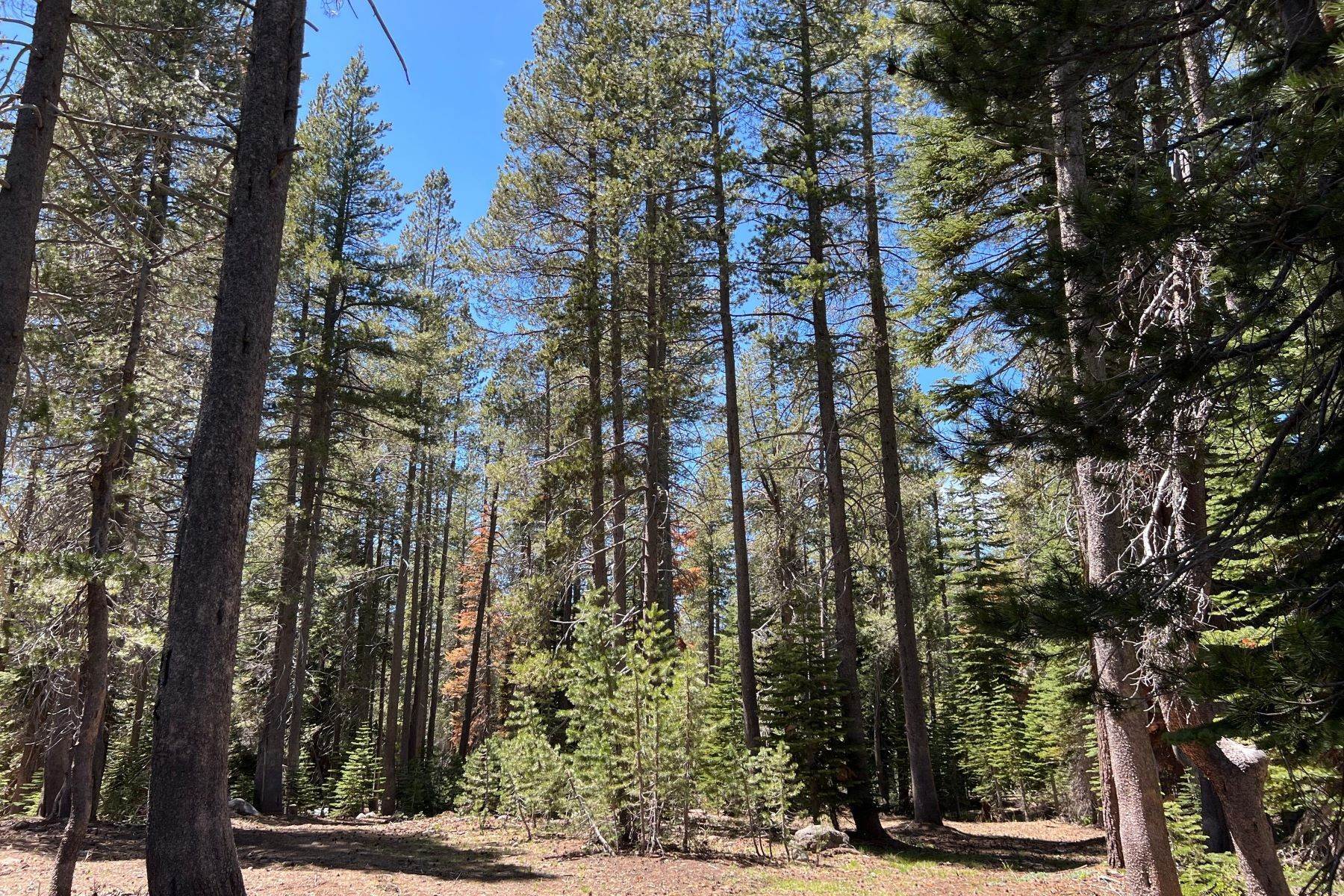4. Land for Active at Sugar Bowl on 20 Acres or Subdivide 00 Old Donner Summit Road Truckee, California 96161 United States