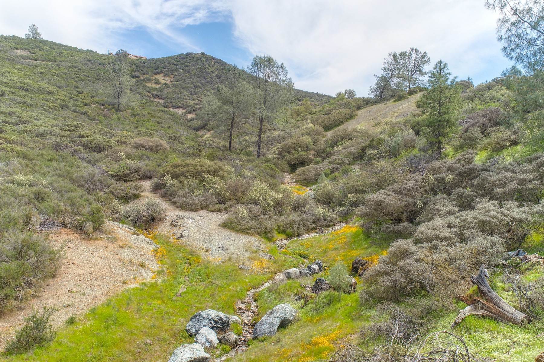 Land for Active at Lisa Ln, Placerville, CA 95667 Lisa Ln Placerville, California 95667 United States