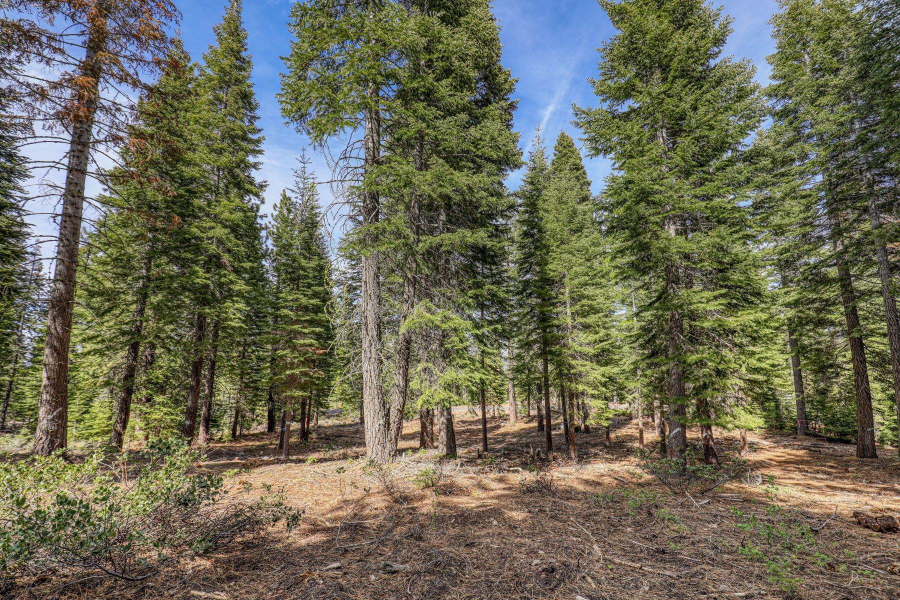 13. Land for Active at Build Your Dream Home 9274 Brae Rd Truckee, California 96161 United States