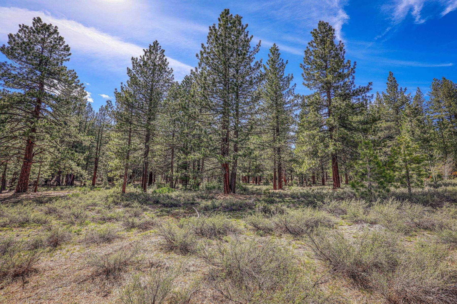 16. Land for Active at Lot in Grays Crossing 11690 Bottcher Loop Truckee, California 96161 United States