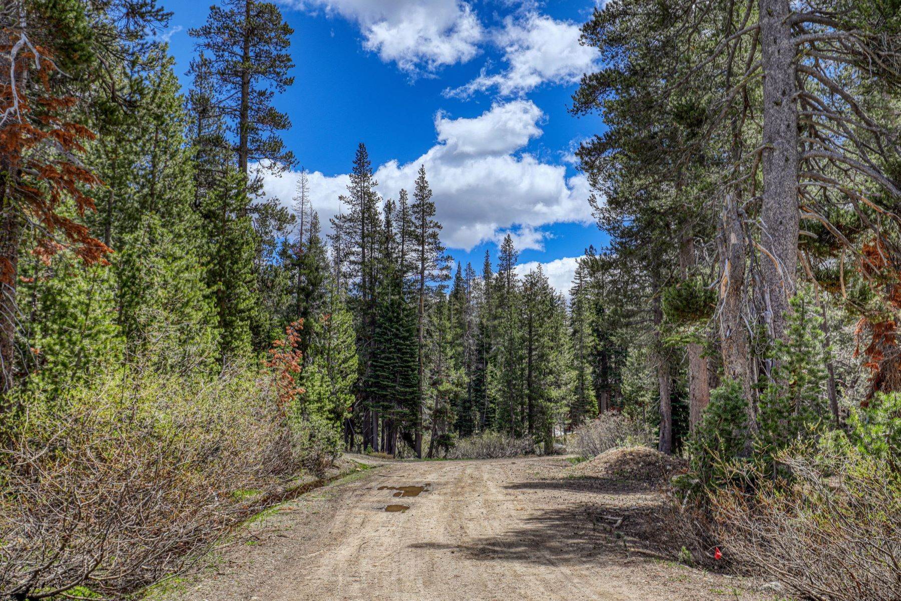 10. Land for Active at Sugar Bowl on 20 Acres or Subdivide 00 Old Donner Summit Road Truckee, California 96161 United States