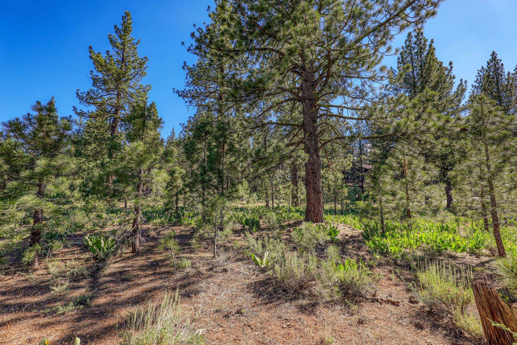 8. Land for Active at Large Martis Valley Lot 7455 Lahontan Dr Truckee, California 96161 United States