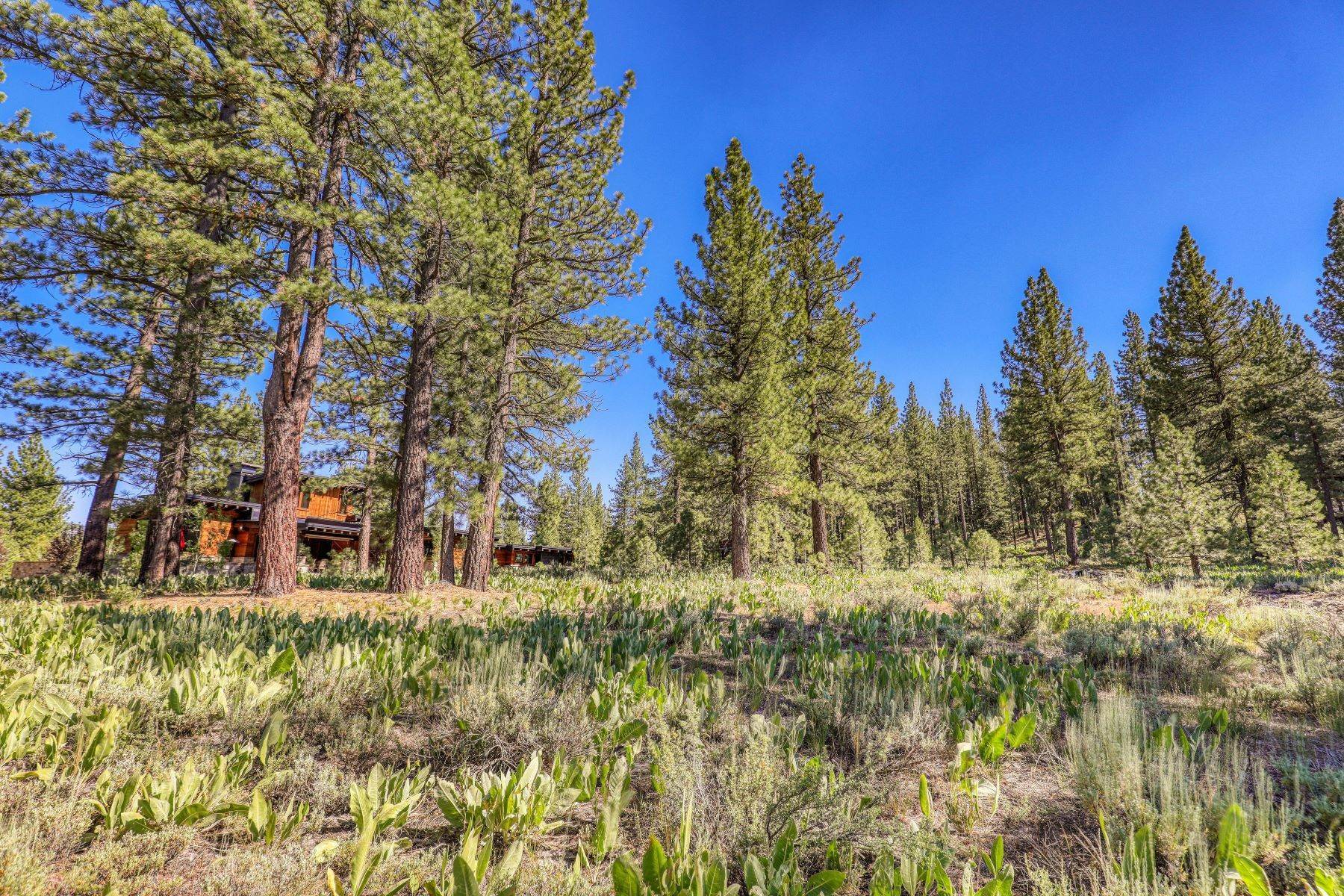 14. Land for Active at Lot in Desirable Lahontan 7445 Lahontan Dr Truckee, California 96161 United States