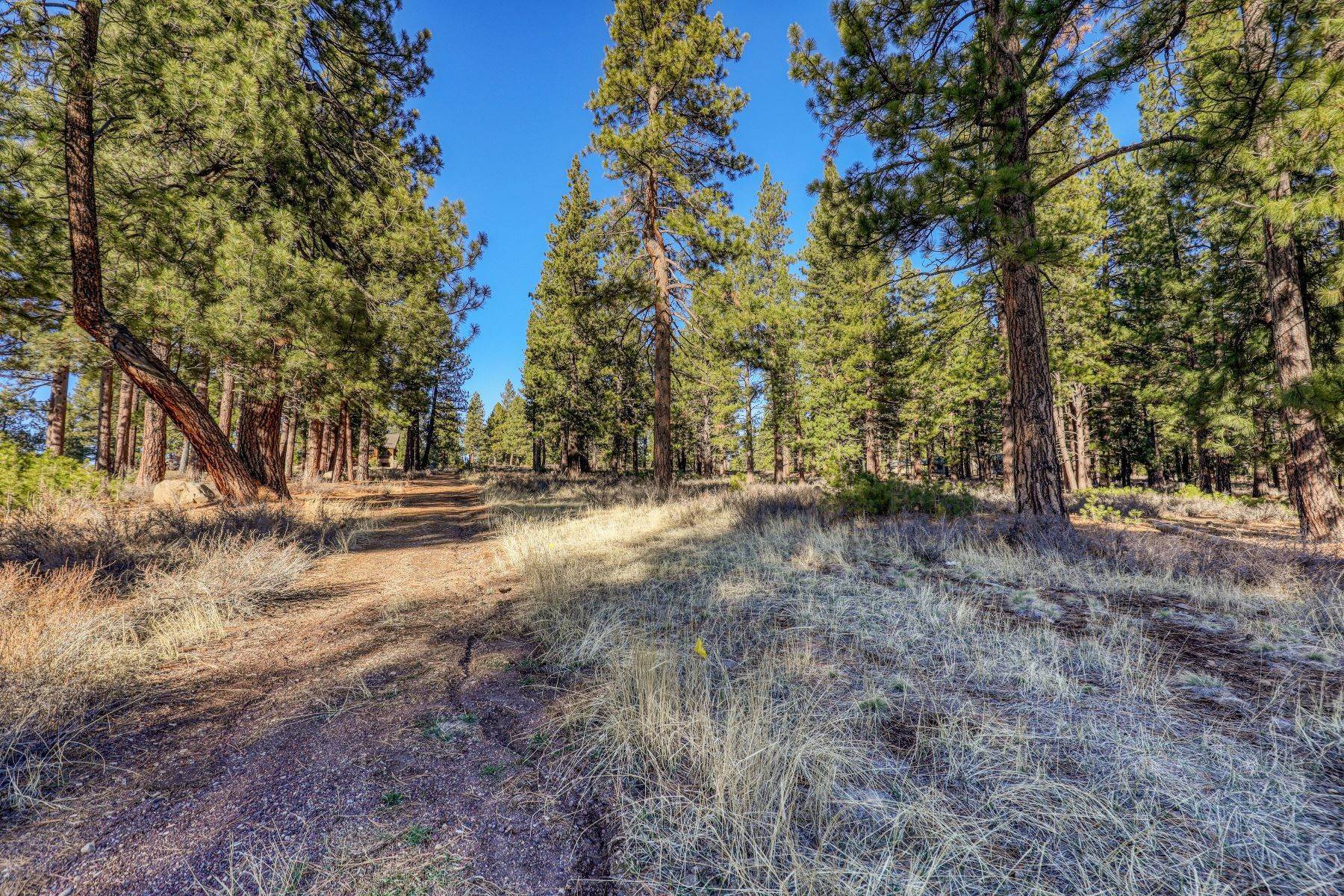 7. Land for Active at 12720 Horizon Drive Truckee, California 96161 United States