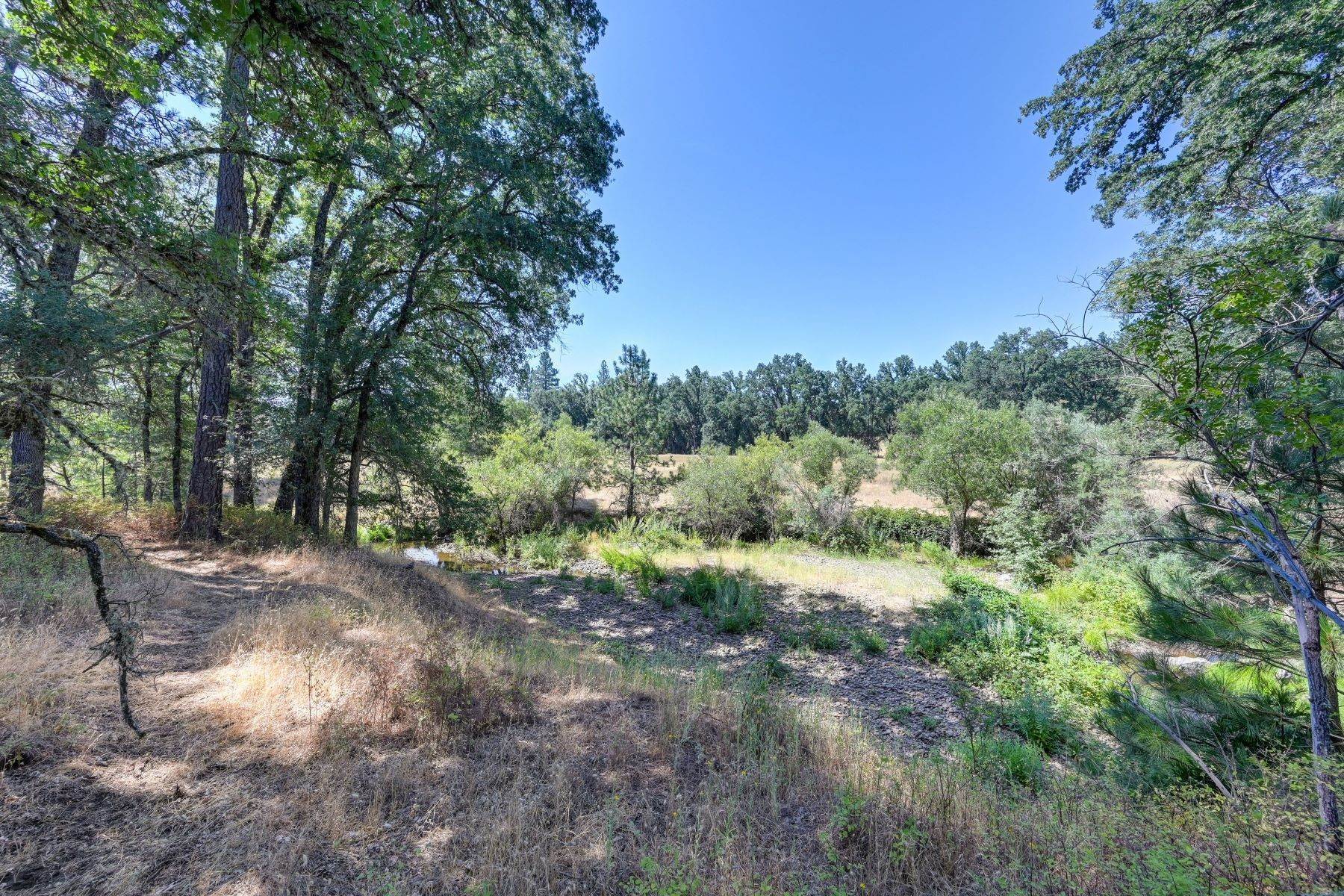 17. Land for Active at 3150 Bridgeport School Road, Fiddletown, CA 95629 3150 Bridgeport School Road Fiddletown, California 95629 United States